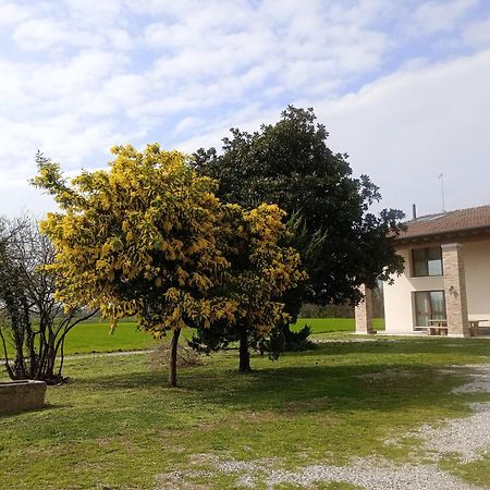 Agriturismo Trabucco Casale sul Sile Zewnętrze zdjęcie