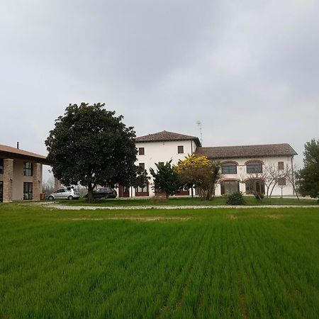 Agriturismo Trabucco Casale sul Sile Zewnętrze zdjęcie