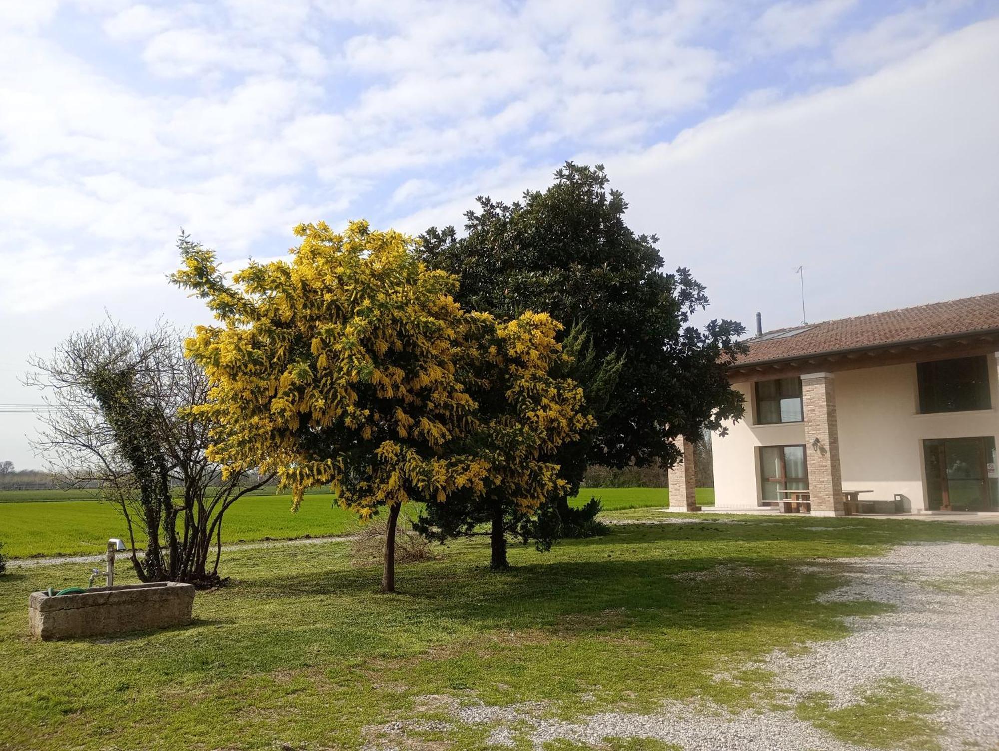 Agriturismo Trabucco Casale sul Sile Zewnętrze zdjęcie