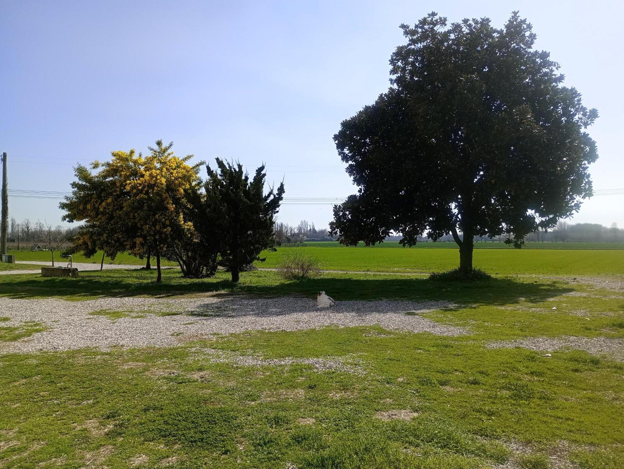 Agriturismo Trabucco Casale sul Sile Zewnętrze zdjęcie