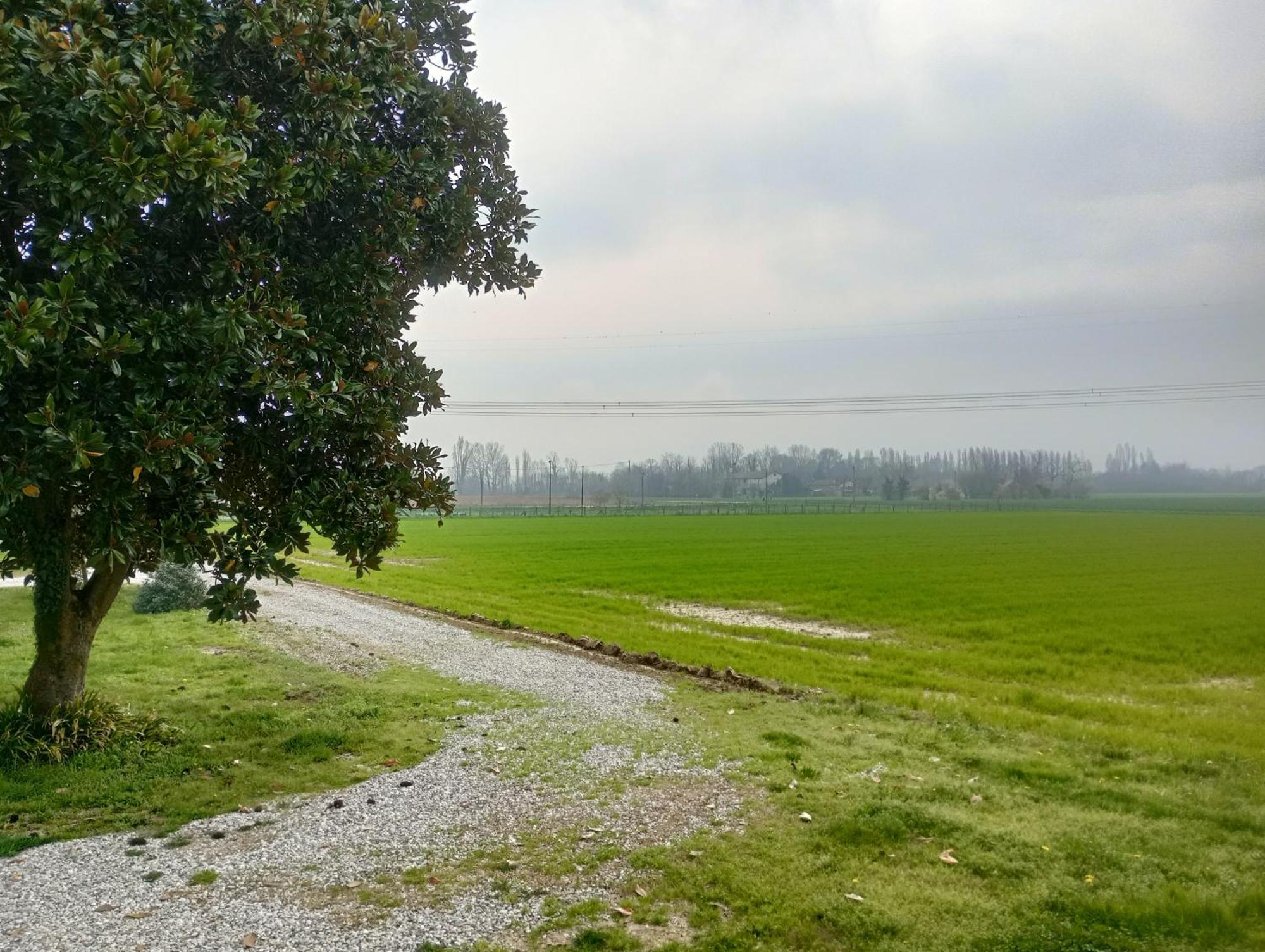 Agriturismo Trabucco Casale sul Sile Zewnętrze zdjęcie